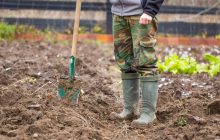 Нужно ли на зиму перекапывать огород: как делают опытные огородники