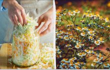 Четыре обязательных запрета: что нельзя делать в народный праздник 8 октября