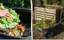 Эти растения и сорняки ни в коем случае нельзя бросать в компост: вот что еще запрещено