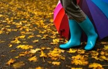 На киян чекає незатишна погода глибокої осені, - Укргідрометцентр