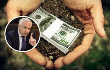 Ущерб государству от земельных схем в Нацакадемии аграрных наук достигает $20 миллионов в год, - СМИ