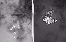 Росіянам "роздав жару" український "Вампір": на Донбасі яскраво знищено групу штурмовиків (відео)