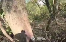 "Меня кинули": пограничники показали, как взяли в плен оккупанта (видео)