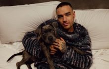 Названа причина трагической смерти экс-участника One Direction