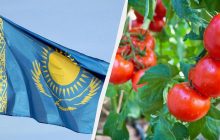 У Казахстану почалися проблеми з експортом до РФ після відмови вступити в БРІКС