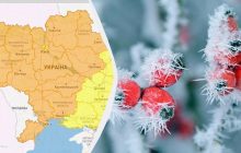 До кінця тижня оголошено ІІ рівень небезпеки: заморозки скують всю Україну (карта)
