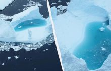 Ледовая гора с бассейном: украинские полярники показали уникальный айсберг (видео)