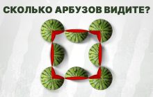 Головоломка для самых сообразительных: нужно посчитать арбузы за рекордное время
