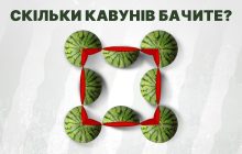 Головоломка для найкмітливіших: треба порахувати кавуни за рекордний час
