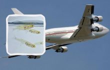 Крошечная, но очень громкая: найдена рыбка, которая издает звуки, как реактивный двигатель