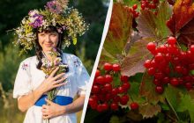 Що можна і не можна робити 24 жовтня: свято, прикмети, традиції