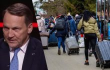 Стимул не повертатися додому: у Польщі закликали Німеччину позбавити українців соцвиплат