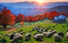 $20 миллиардов дохода: какая аграрная отрасль может стать новым козырем Украины