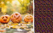 Только 1 человек из 10 увидит тыкву: очень сложная стереокартинка к Хэллоуину