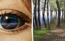 Надо иметь глаза орла, чтобы увидеть утку за 7 секунд: хитрая оптическая иллюзия