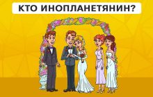 Надо найти инопланетянина на свадьбе за 9 секунд: быстрый тест для проверки уровня IQ