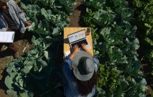 Apple випустила свої найпотужніші ноутбуки з рекордною батареєю на 24 години