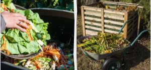 Эти растения и сорняки ни в коем случае нельзя бросать в компост: вот что еще запрещено