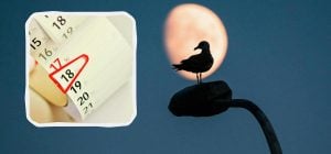 Лунный календарь на ноябрь 2025: в эти дни не начинайте ничего важного