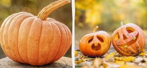 Где лучше хранить тыкву в домашних условиях: садовод раскрыл нюансы