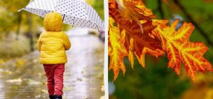 Что можно и нельзя делать 1 ноября: как привлечь счастье в дом