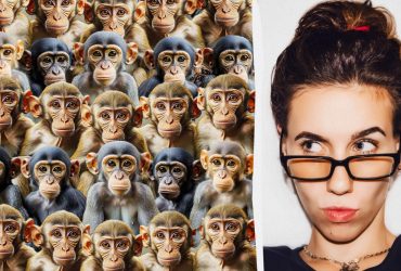 Потрібно знайти мопса серед десятків мавп за 8 секунд: надскладна головоломка