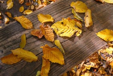 Опади припиняться і потеплішає: в Укргідрометцентрі розповіли про погоду в суботу