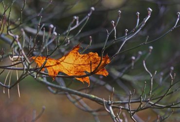 На этой неделе погода в Украине изменится (карта)