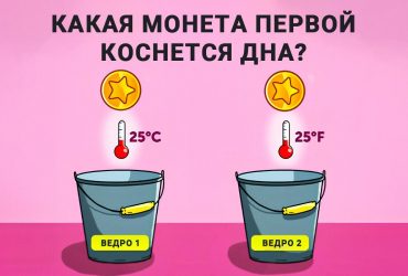 Какая монета первой коснется дна: головоломка, которую нужно решить за 8 секунд