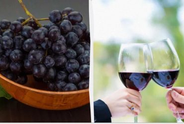 Шикарне домашнє вино з кислого і синього винограду: покроковий рецепт