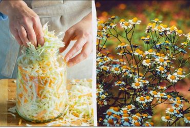 Четыре обязательных запрета: что нельзя делать в народный праздник 8 октября