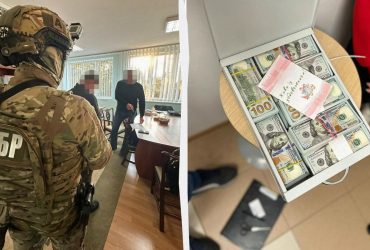Здивувала статками: депутатка з Хмельницького приховала від декларування 1,5 млн доларів