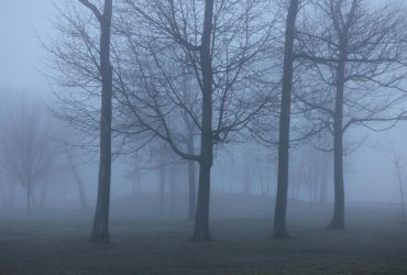 В Одессе объявлен желтый уровень опасности (инфографика)