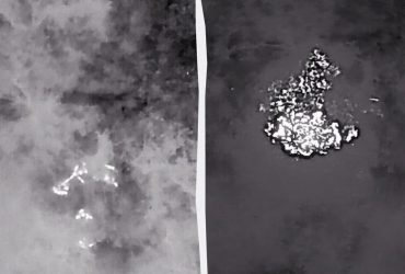 Росіянам роздав жару український Вампір: на Донбасі яскраво знищено групу штурмовиків (відео)