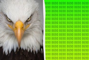 Вам понадобятся глаза орла, чтобы найти странное число за 11 секунд: оптическая иллюзия со звездочкой