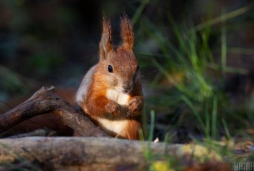 После жары в Украину ворвется похолодание, температура упадет до +20, - синоптик