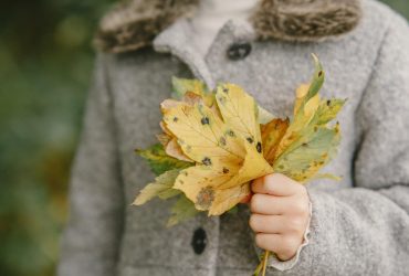 Розігріє до +18°: синоптик розказав, де ще в Україні затримається тепло