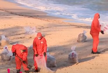 Пляжи Сиднея закрыли из-за загадочных черных шариков: власти не знают, откуда они, - Sky News