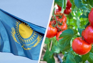 У Казахстана начались проблемы с экспортом в РФ после отказа вступить в БРИКС