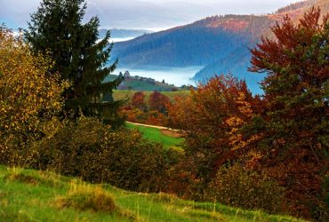 Эколог предупредил о последствиях изменения климата для Украины