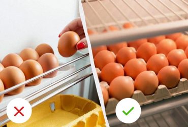 Как правильно хранить яйца: в холодильнике или нет