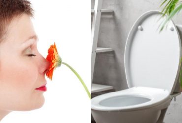 Нужно положить это в бачок унитаза: в туалете всегда будет пахнуть свежестью