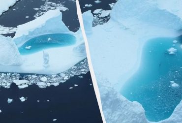 Льодова гора з басейном: українські полярники показали унікальний айсберг (відео)