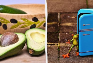 Как держать авокадо в холодильнике, чтобы фрукт хранился дольше: эксперт назвал 2 способа