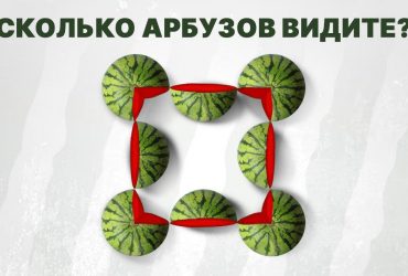Головоломка для самых сообразительных: нужно посчитать арбузы за рекордное время