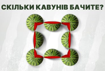 Головоломка для найкмітливіших: треба порахувати кавуни за рекордний час