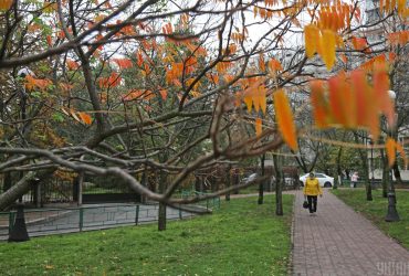 Названо точну дату, коли у Києві стане холодніше (інфографіка)