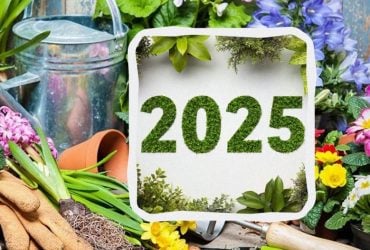 Посевной календарь на весь 2025 год: таблица плодородных дней