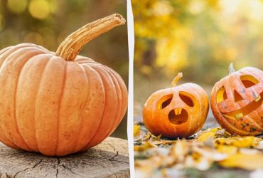 Где лучше хранить тыкву в домашних условиях: садовод раскрыл нюансы