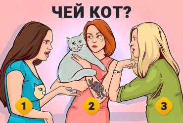 Надо найти владелицу кота за 7 секунд: головоломка для проверки IQ